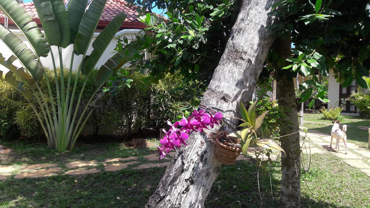 Lanka Beach Grand Villa Rekawa Exterior photo